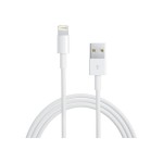 Apple Lightning to USB Cable - 0.5m