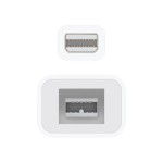 Apple Thunderbolt to FireWire Adapter